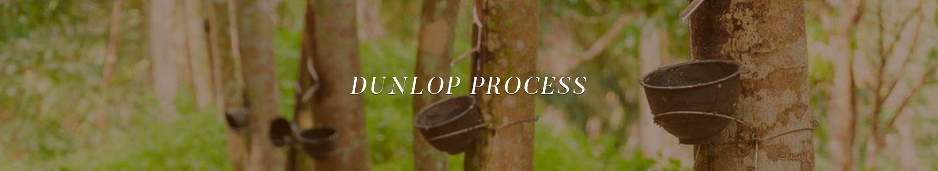 Qingdao Skyline International Trade Co., Ltd. 