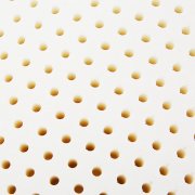 Dunlop Latex Contour Pillow